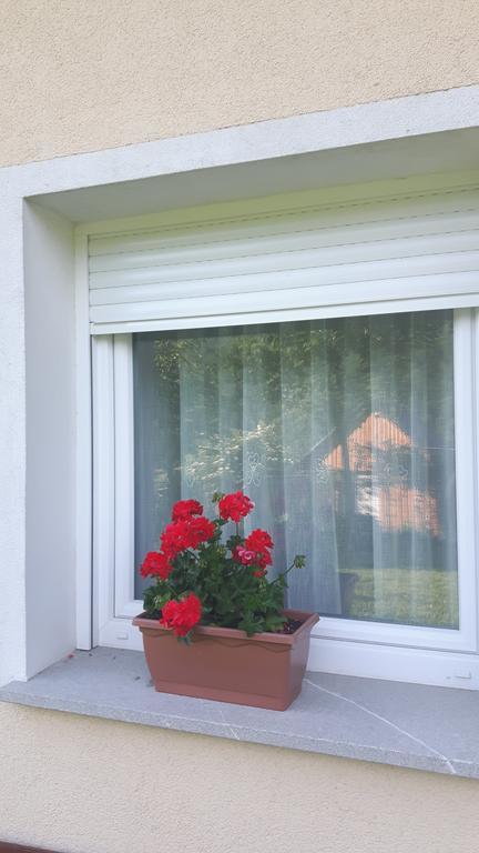 Apartments Petrin تولمين المظهر الخارجي الصورة